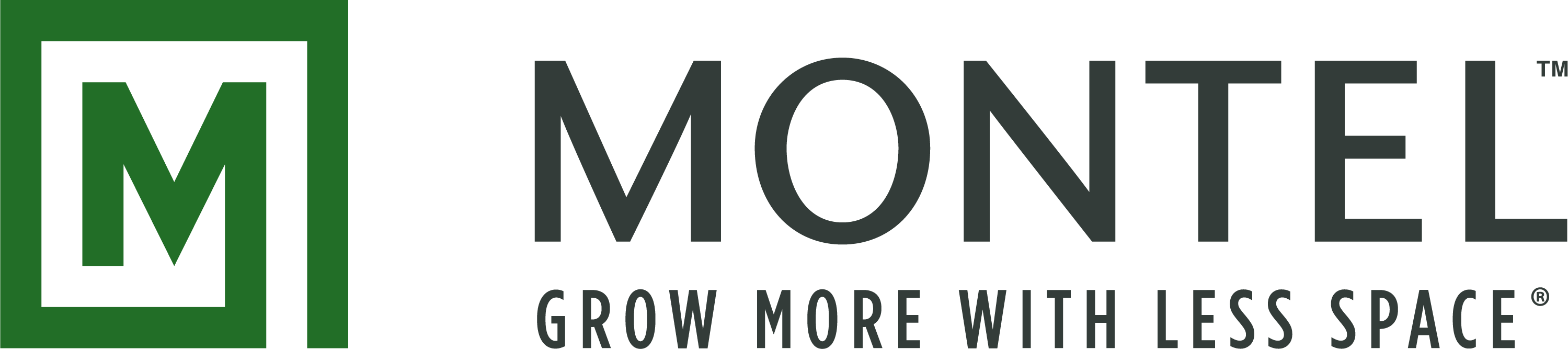 https://fsg.com/wp-content/uploads/2023/01/Montel-GrowMore-Logo-EN-grey-text_tm.png